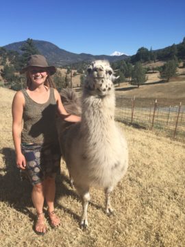 Goat Farm in Northern California