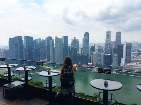 Singapore Skyline from The Marina Bay Sands observation deck