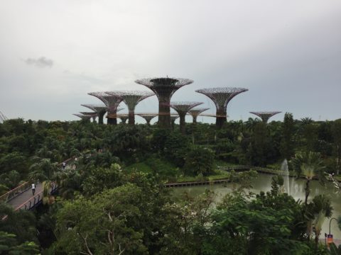 Super trees at the Garden by The Bay