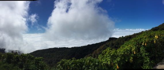 View from the top of the King + Queen Pagoda