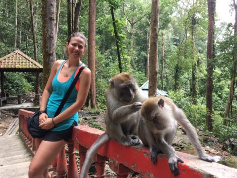 Monkeying around in Kuala Lumpur