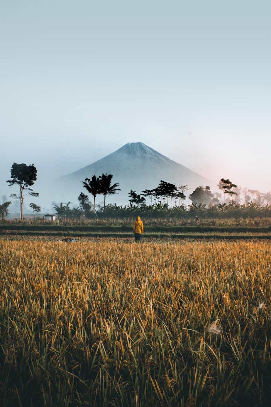 Planning Your Trip of a Lifetime to Indonesia