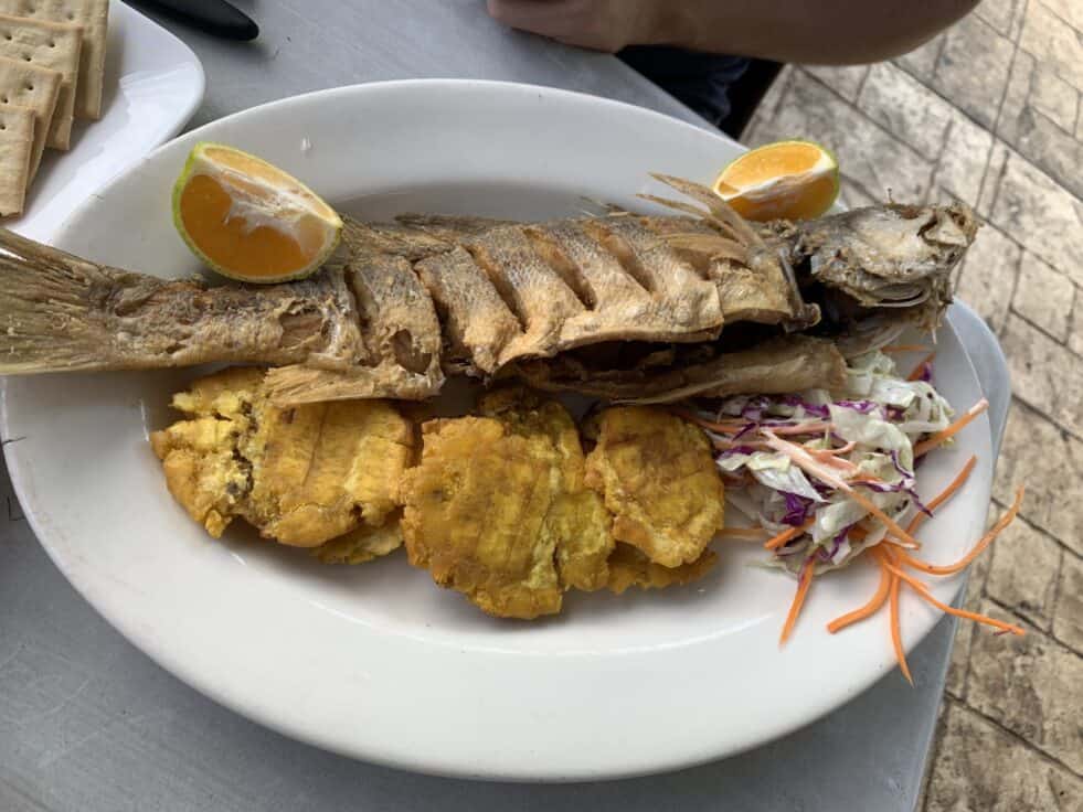 Panama City Restaurants: Fish