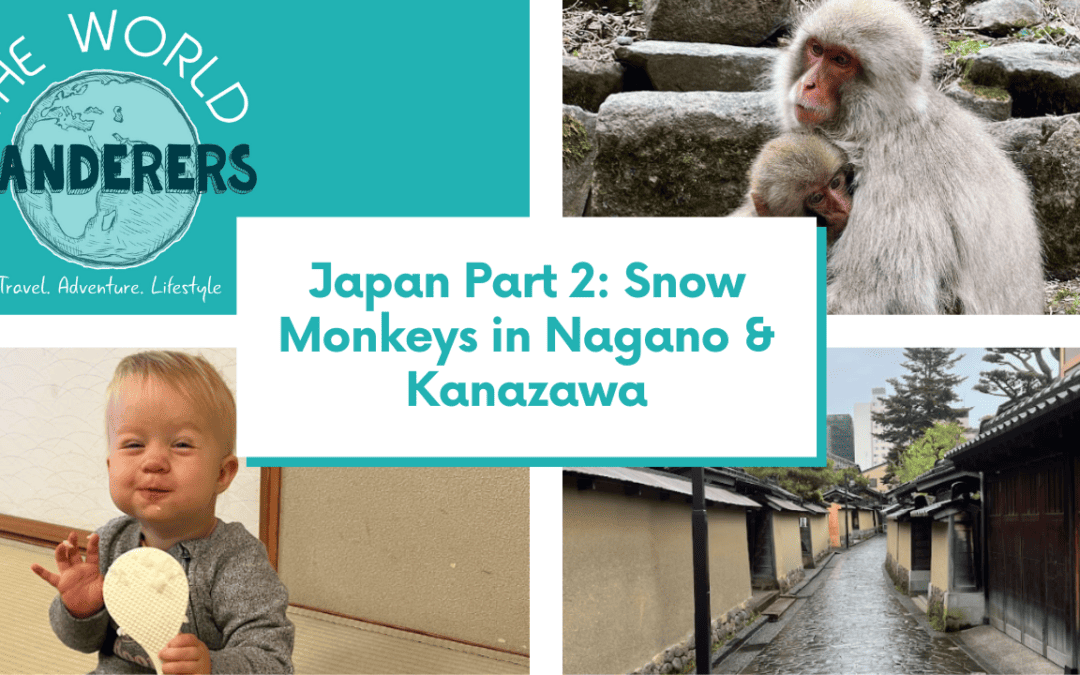 Japan Part 2: Snow Monkeys in Nagano & Kanazawa