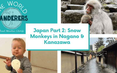 Japan Part 2: Snow Monkeys in Nagano & Kanazawa
